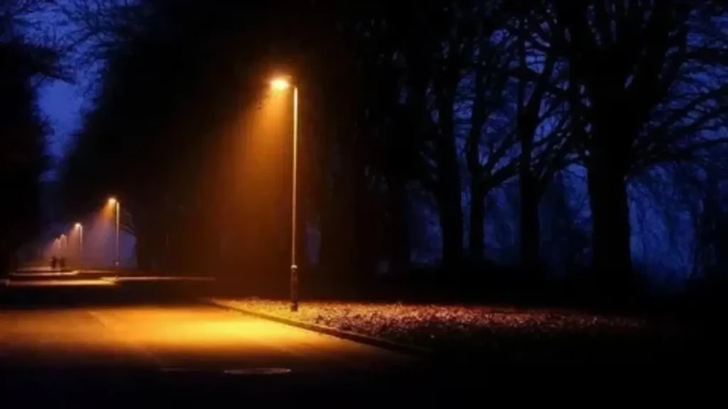 date ideas at night for free